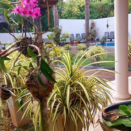 Turtle Paradise Villa Kosgoda Zewnętrze zdjęcie