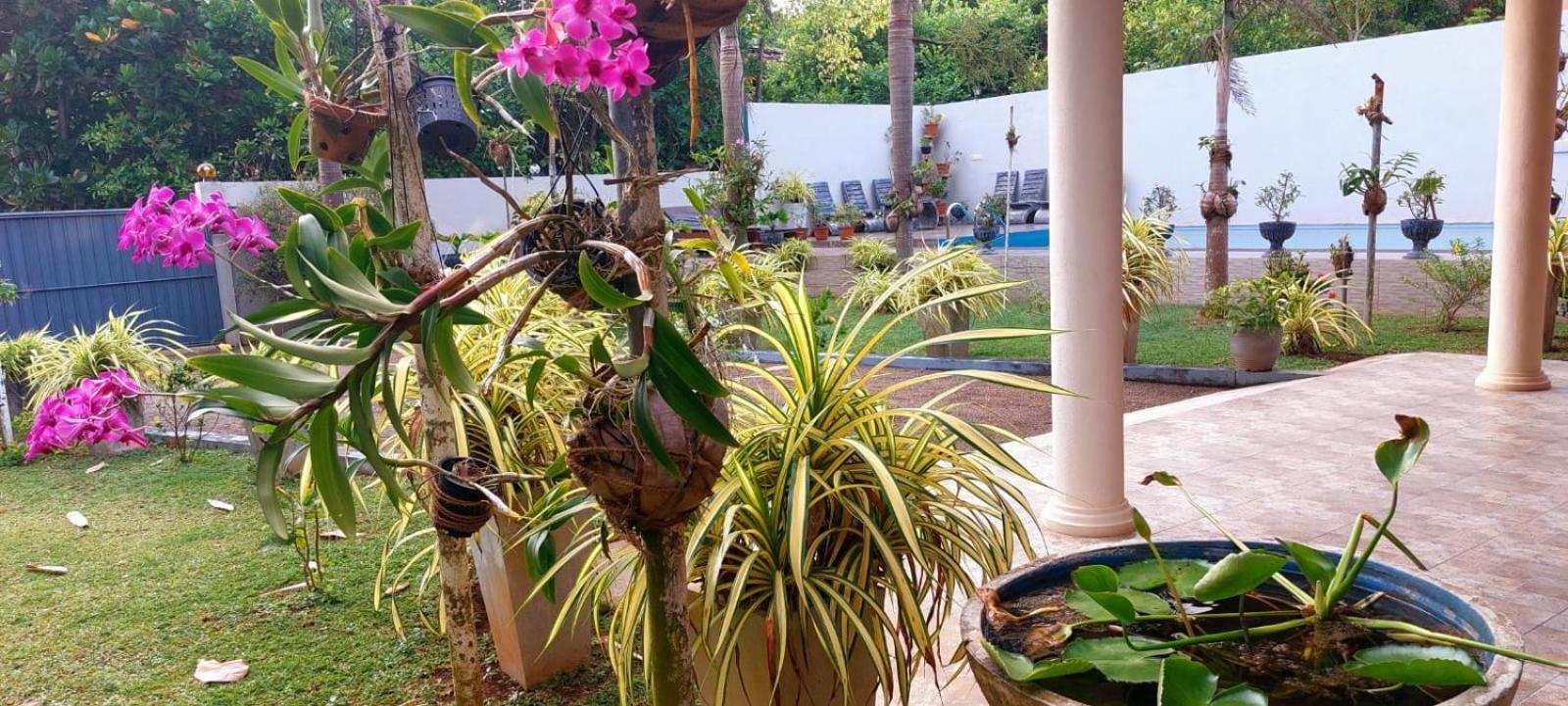 Turtle Paradise Villa Kosgoda Zewnętrze zdjęcie